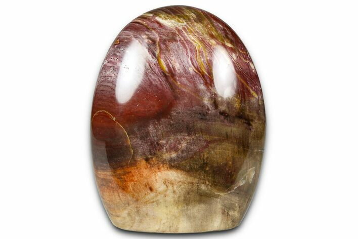 Free-Standing, Polished Petrified Wood - Madagascar #376097